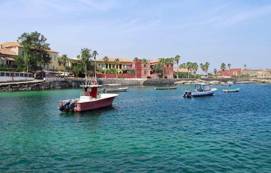 Excursion à Gorée & Île de Ngor