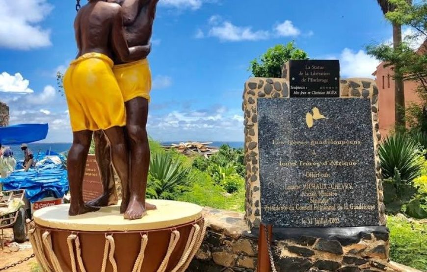 Excursion à Gorée & Île de Ngor
