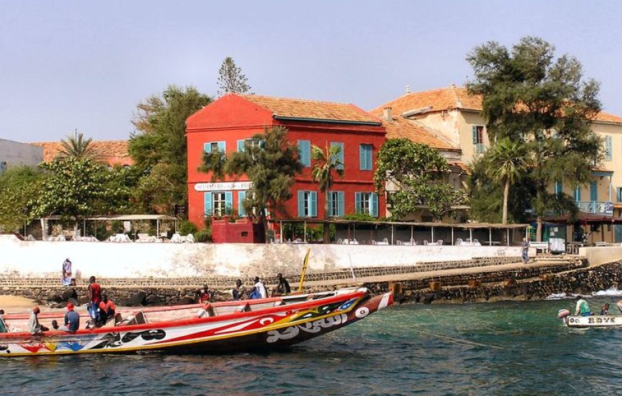 Excursion à Gorée & Île de Ngor